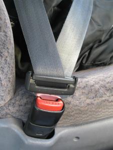 seat_belt (2)