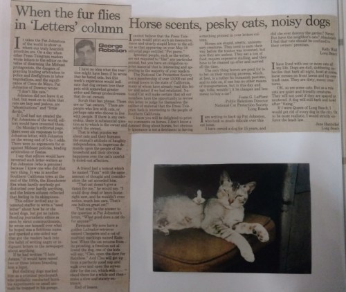 cat letter response_edited