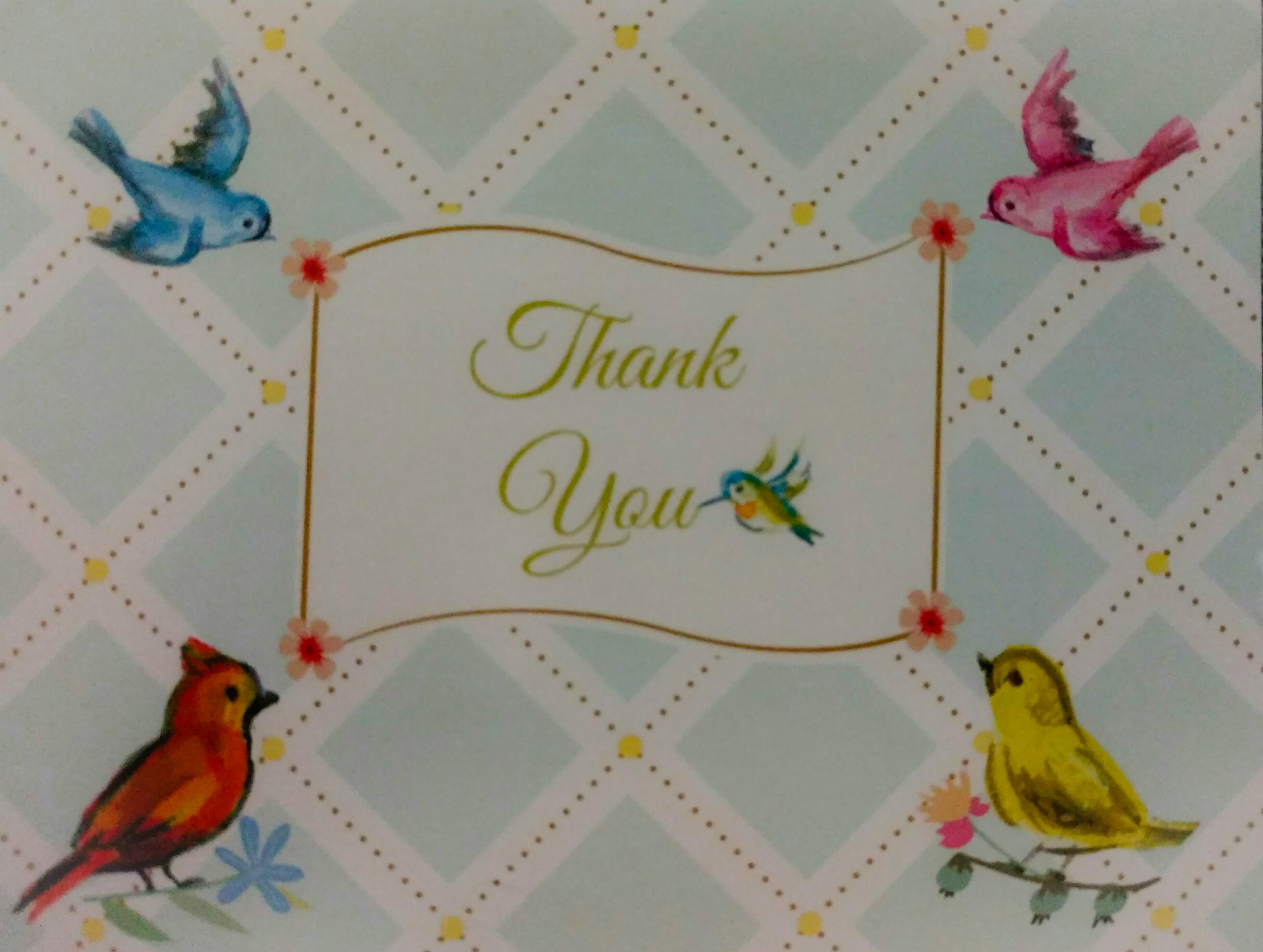 thank you card_edit