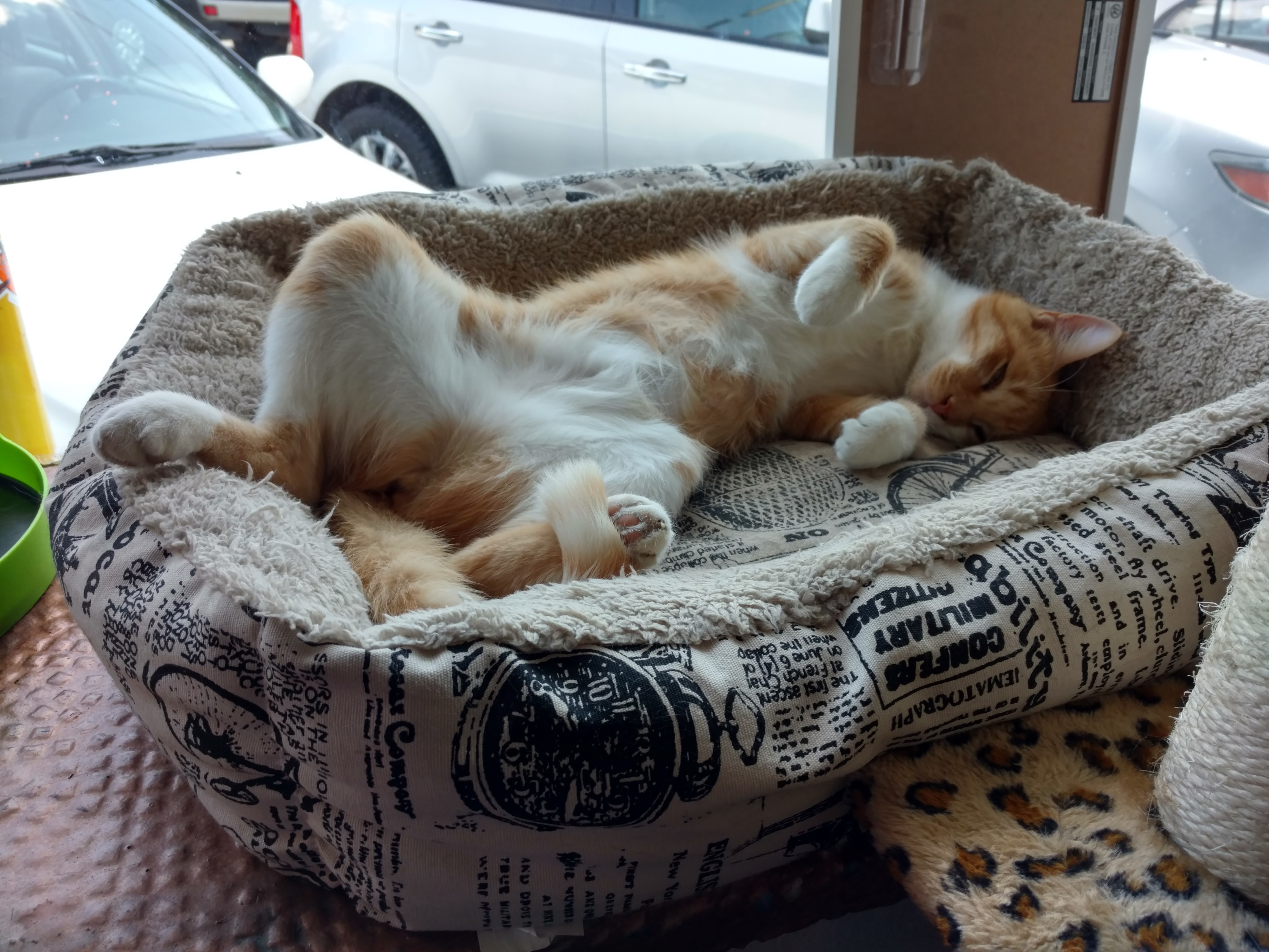 IMG_20170719_111210635_HDR