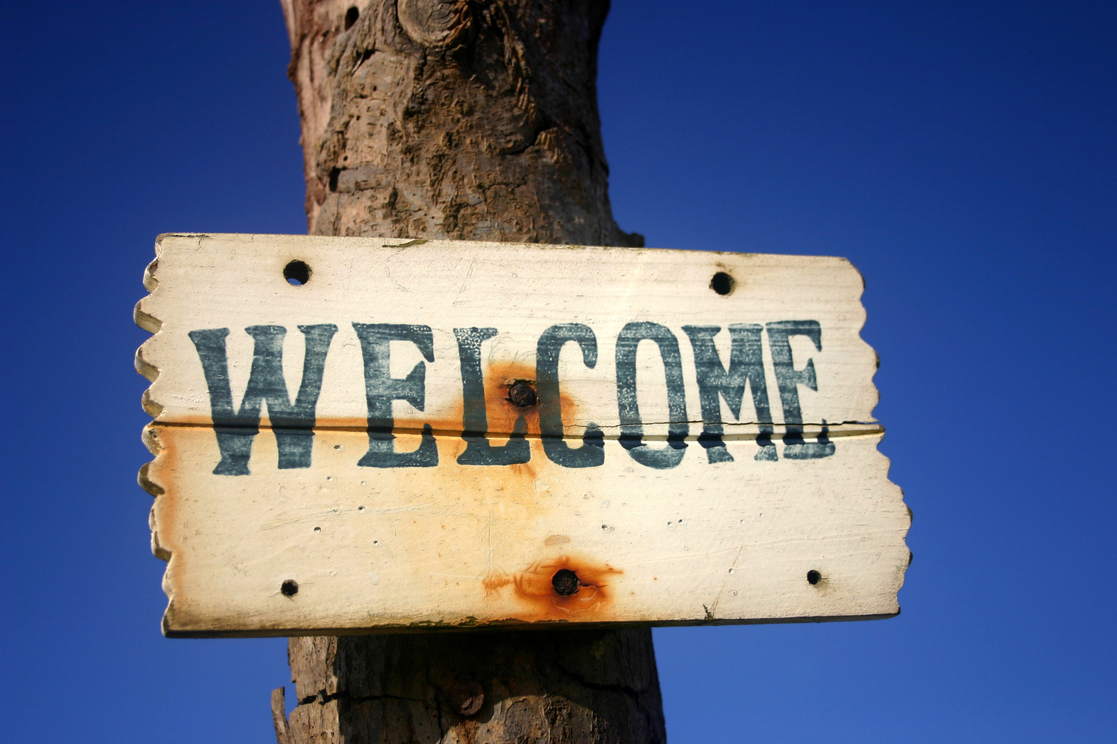 welcome-1196763-1599x1066