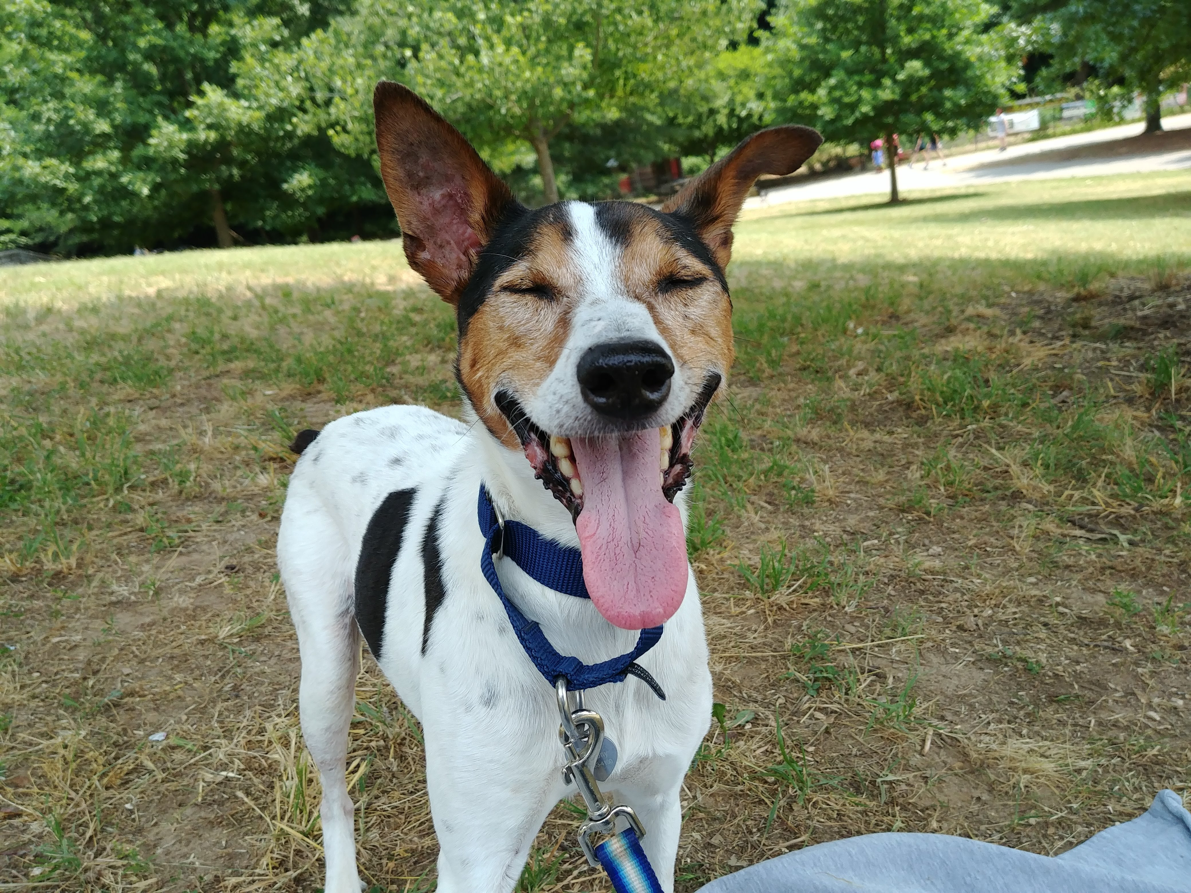 magee eye shut smile