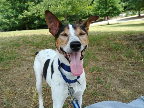 magee eye shut smile