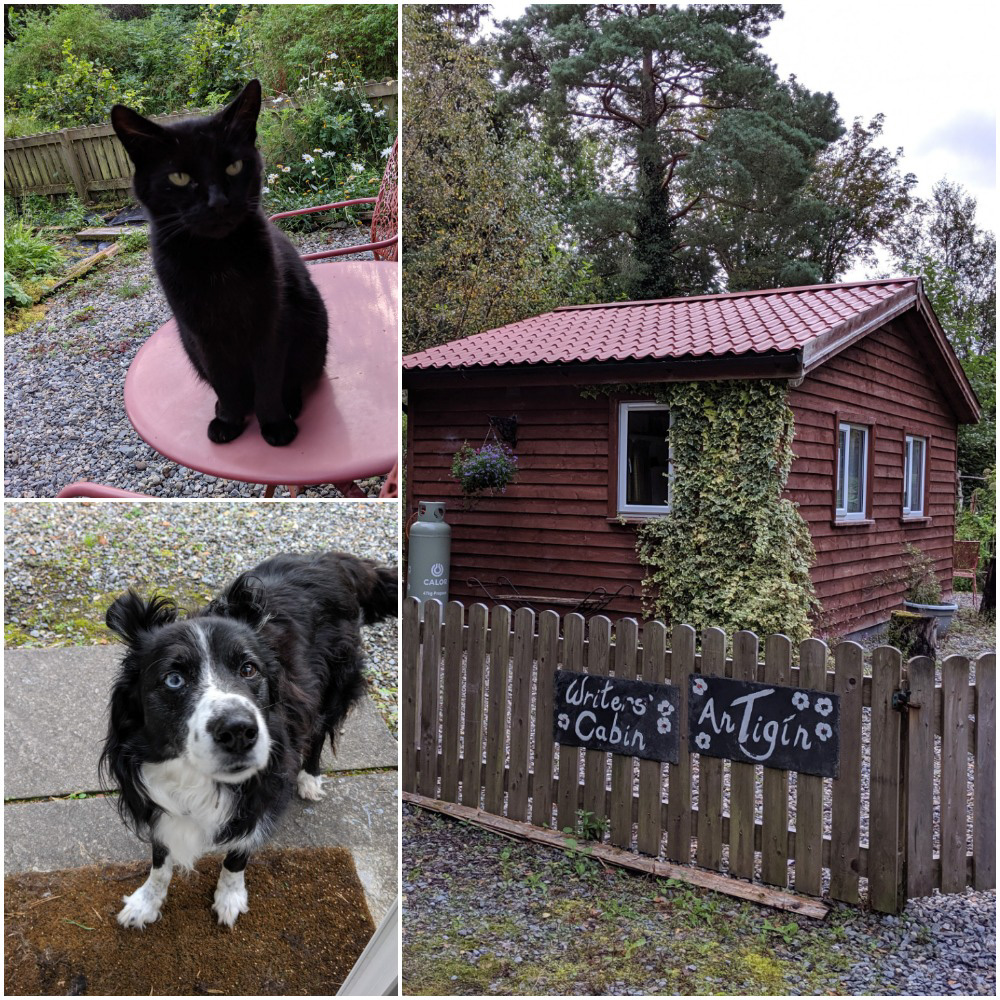 writer cabin montage